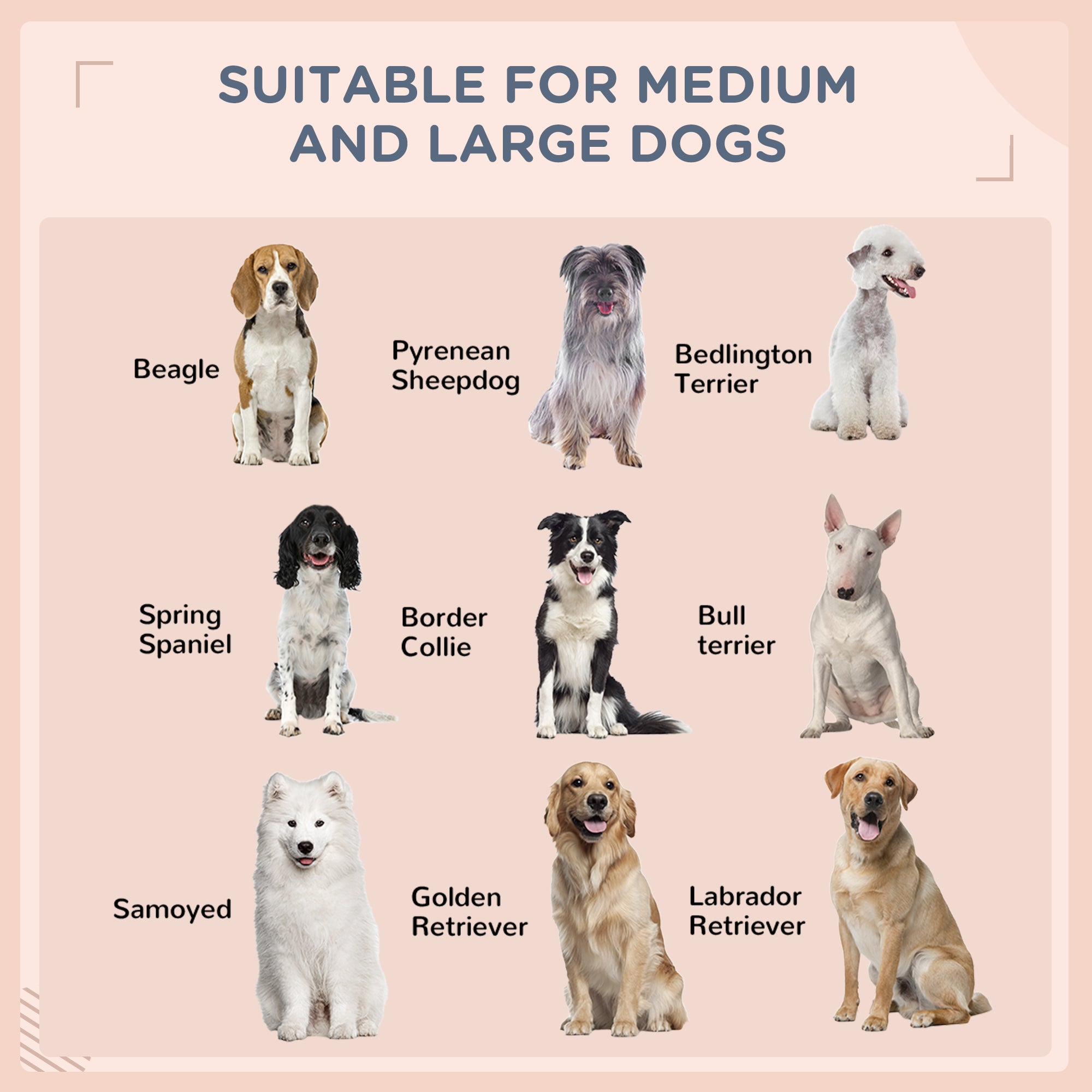 Rattan Dog Bed with Canopy