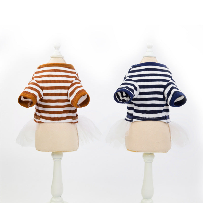 Teddy Bear Dog Clothes