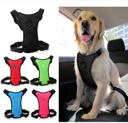 Pet Car Safety Harness