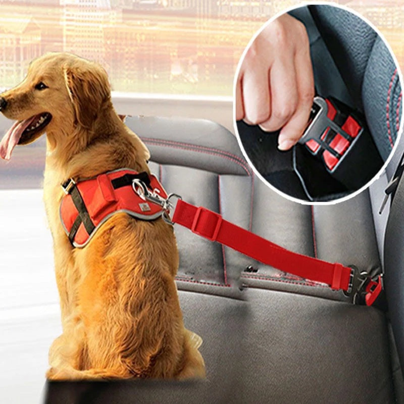 pet Car Harness – Adjustable & Safe