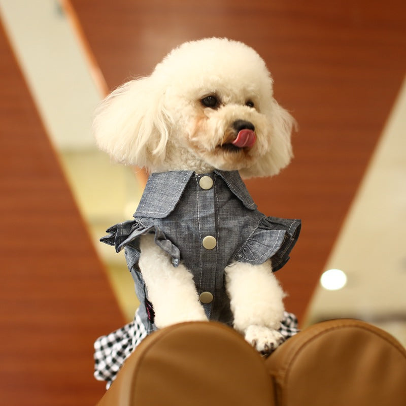 Pet Denim Dress