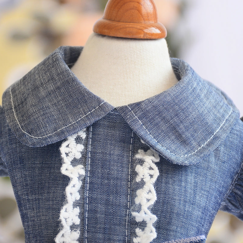 Pet Denim Dress