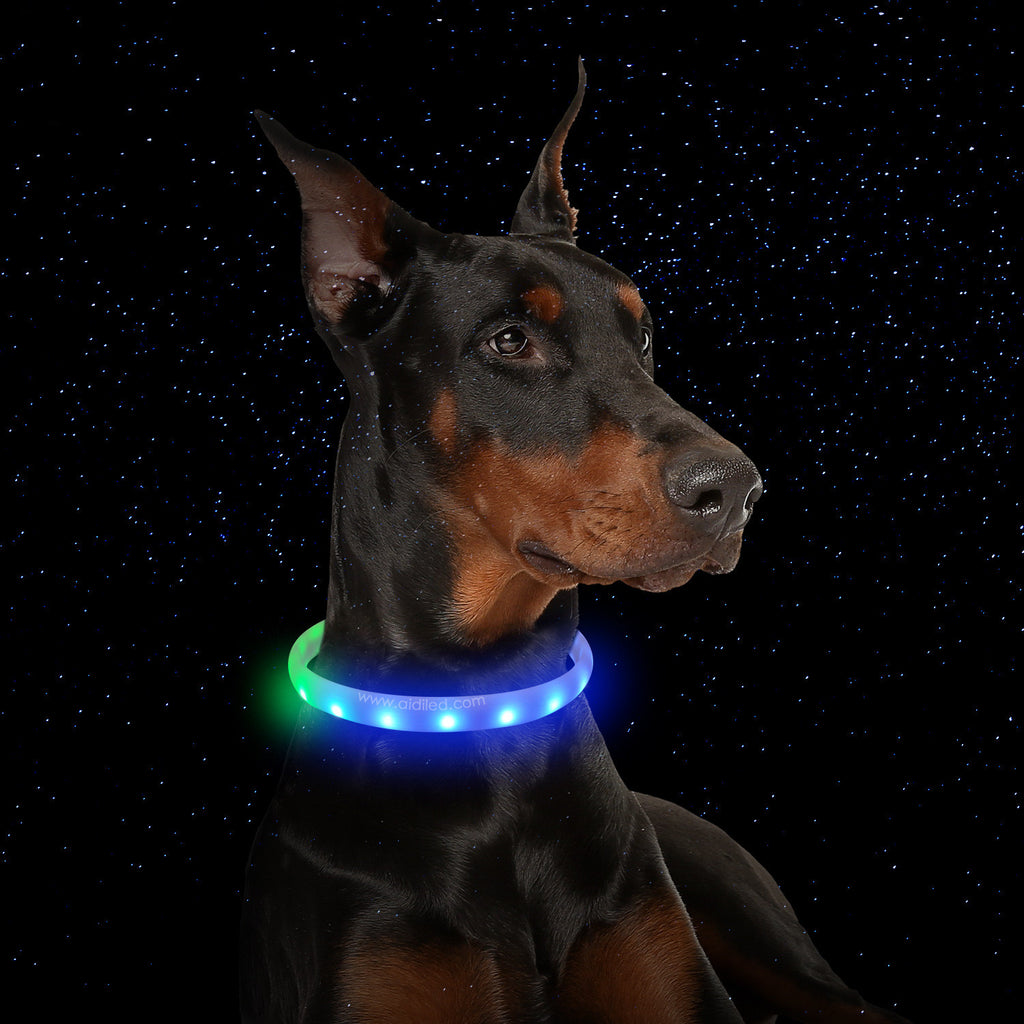 USB Rechargeable Flash Dog Collar – Anti-Lost Silicone