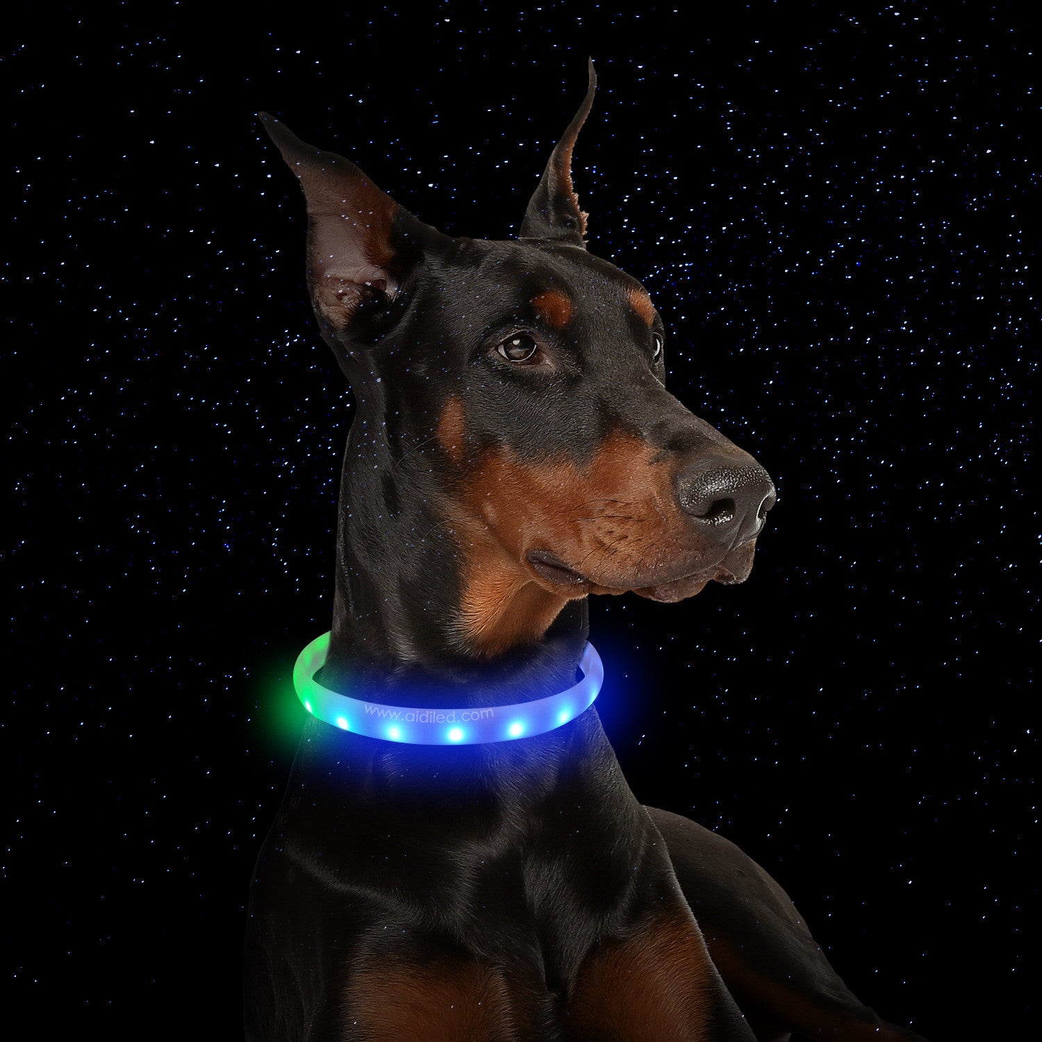 USB Rechargeable Flash Dog Collar – Anti-Lost Silicone