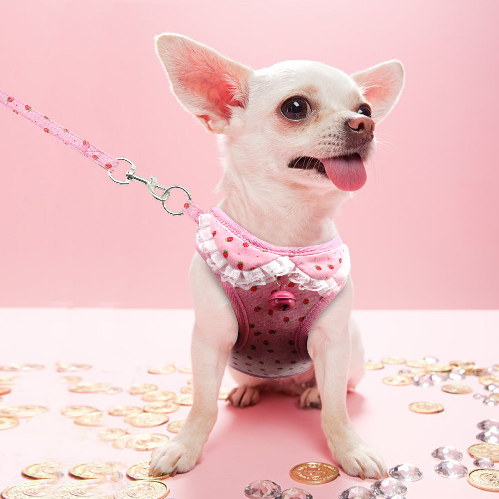 Cute Pet Harness Set