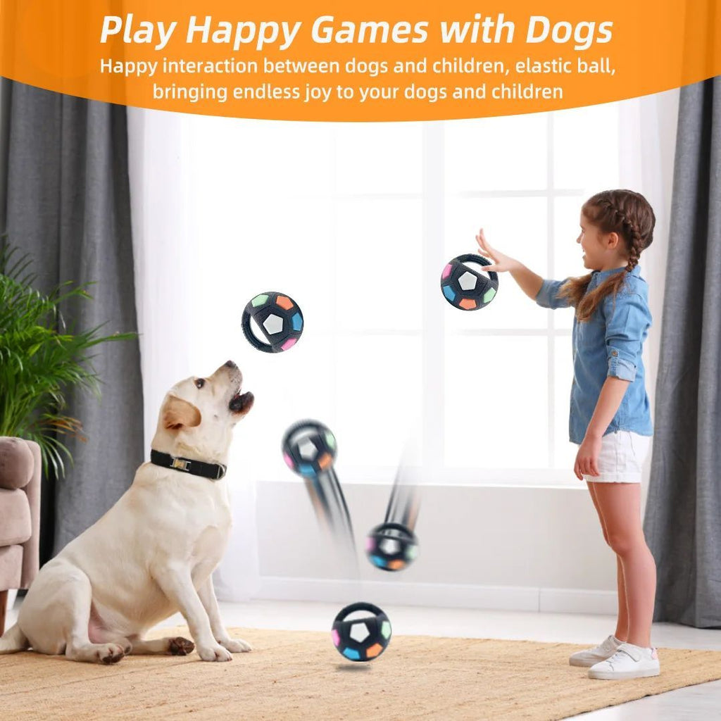 Football Tennis Ball Dog Toy
