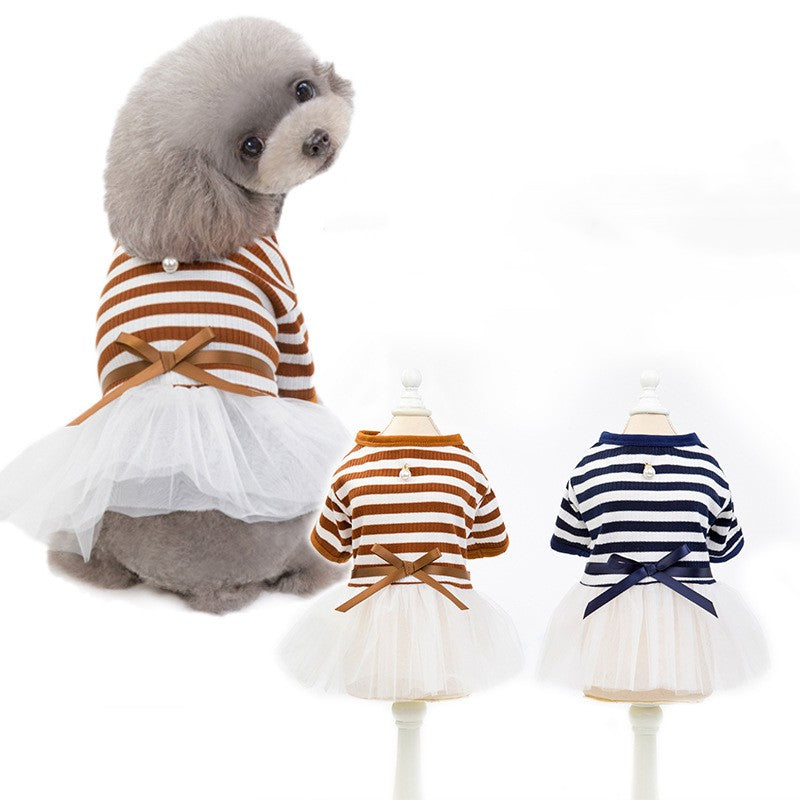 Teddy Bear Dog Clothes