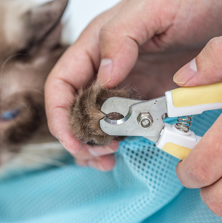 Cat Grooming Bag