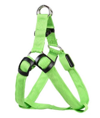 LED Dog Harness & Leash