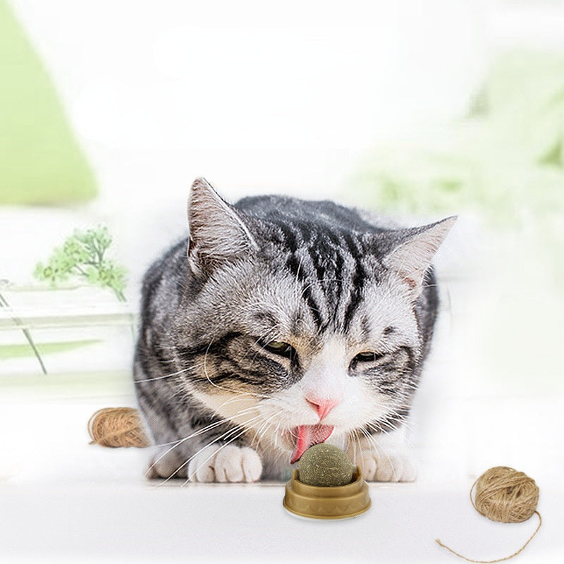 Catnip Dental Treat Balls
