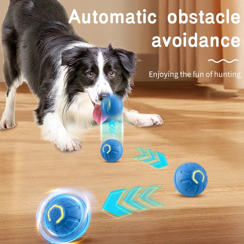 PetBounce – USB Smart Ball