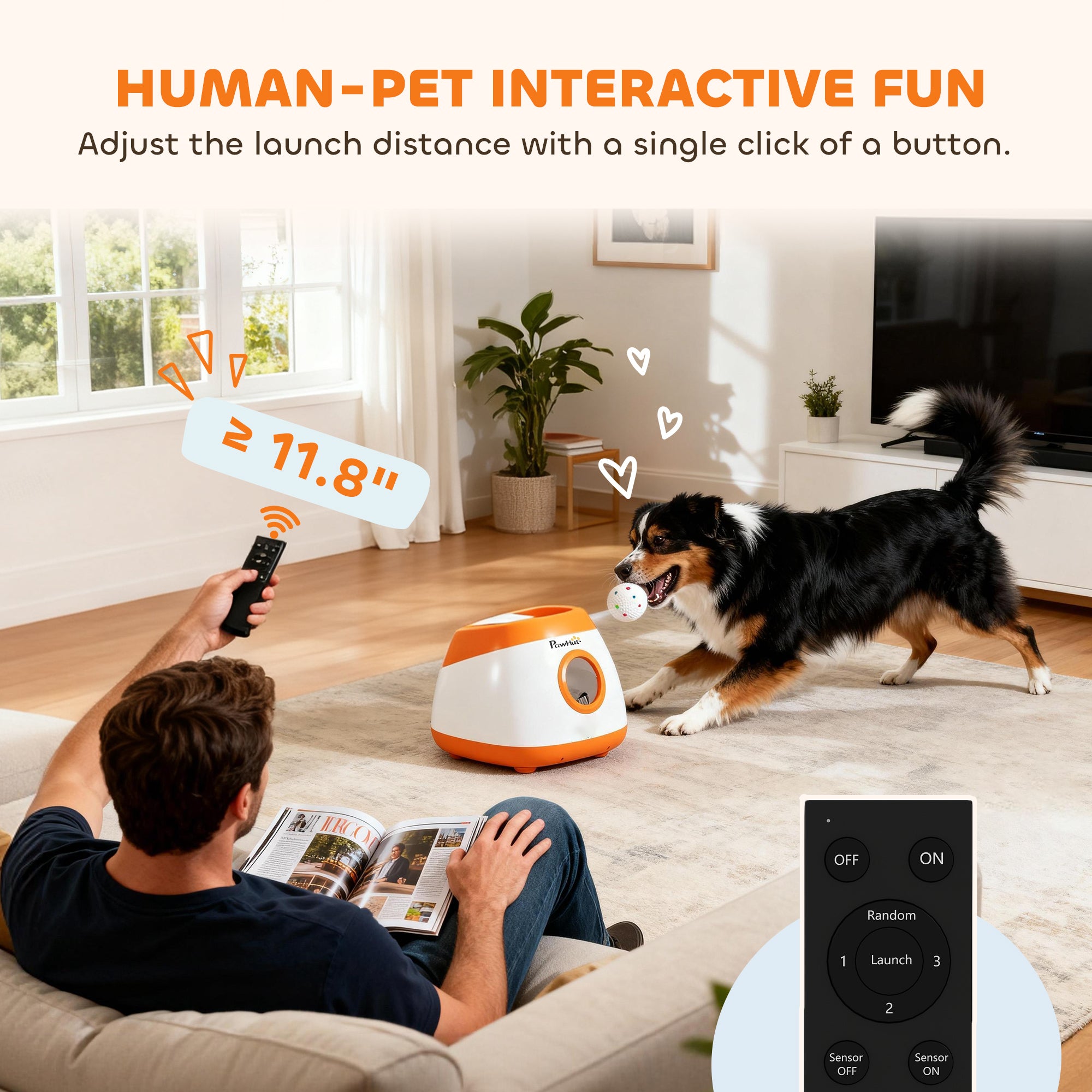 Automatic Dog Ball Launcher