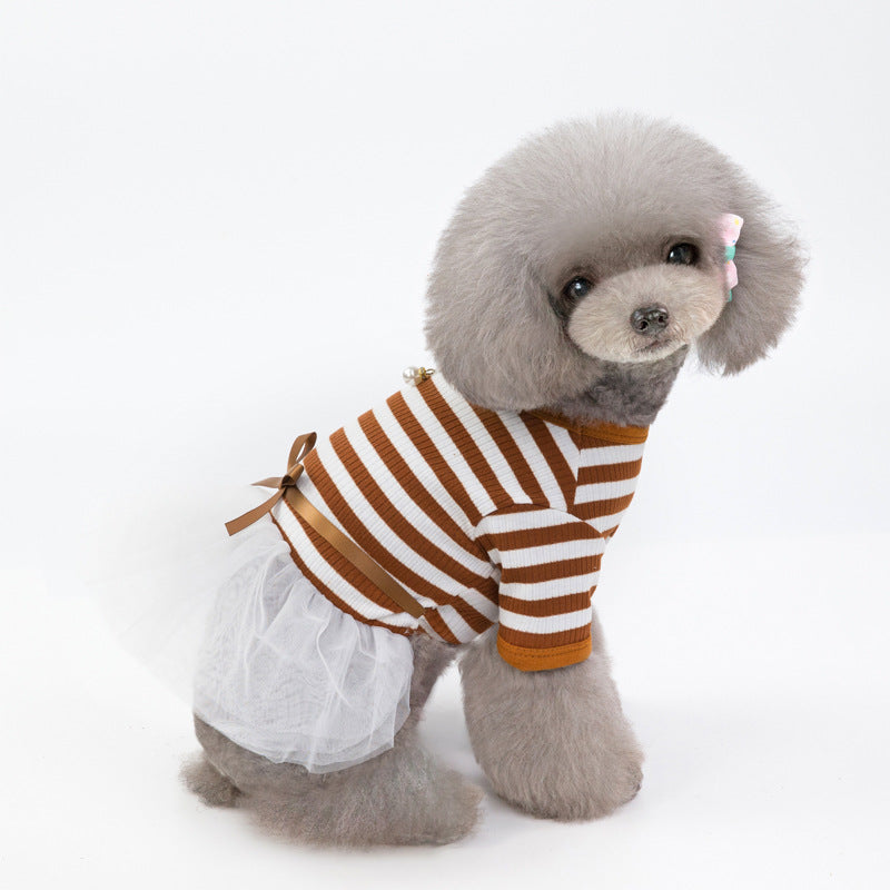 Teddy Bear Dog Clothes