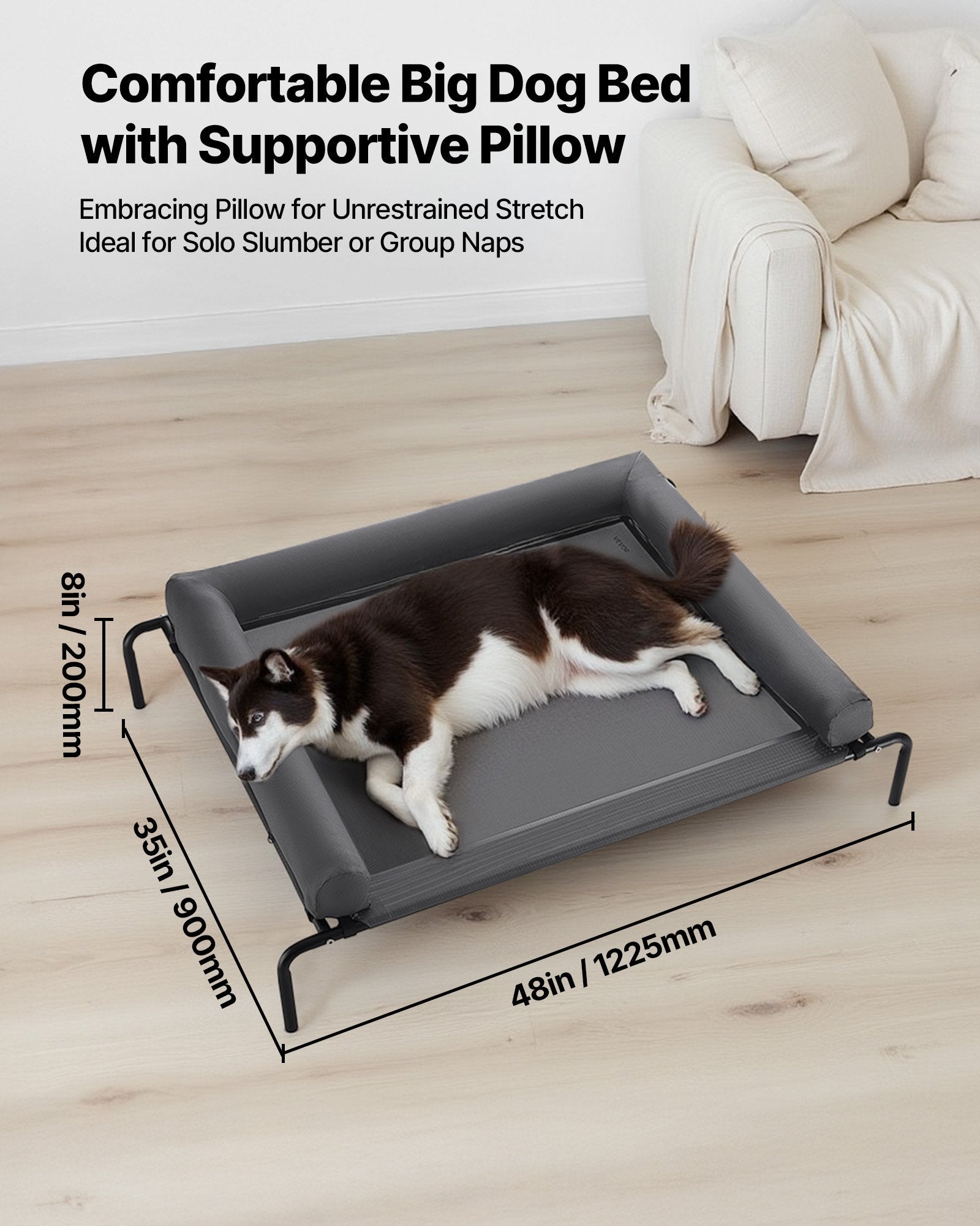 Raised Dog Cot with Pillow