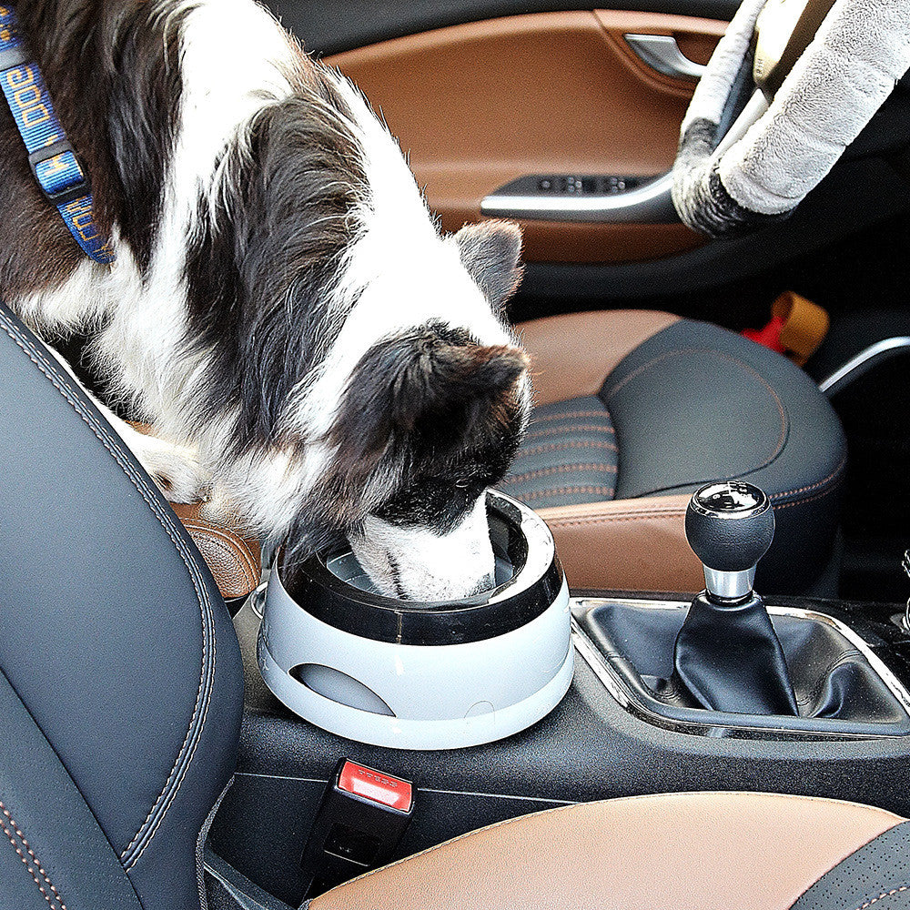 No Spill Pet Bowl