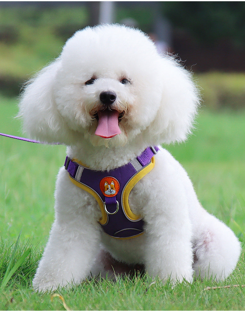 Reflective Pet Harness & Leash