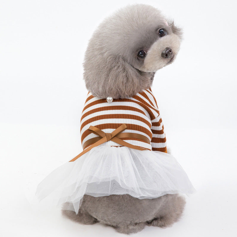 Teddy Bear Dog Clothes