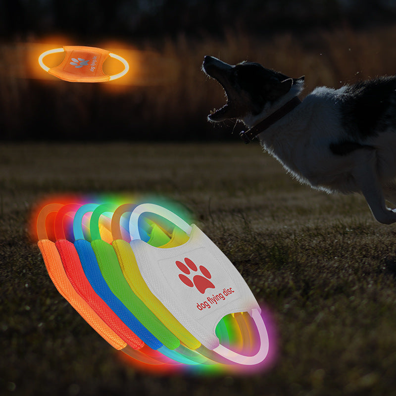 Glowing LED Dog Disc for Play & Training