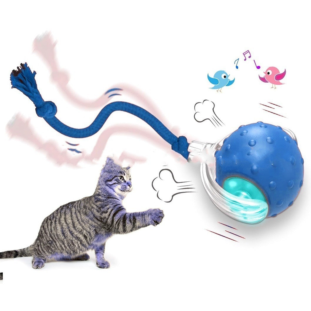 SpinPurr – Interactive Cat Ball