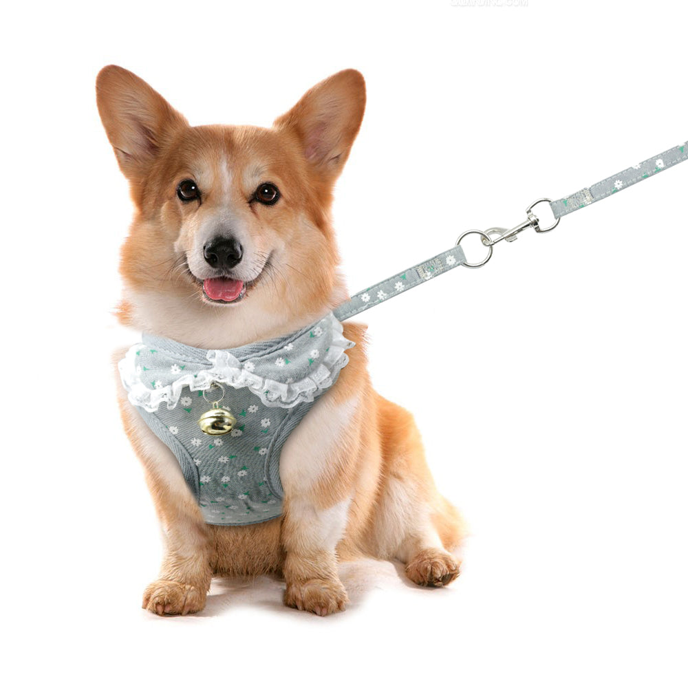 Cute Pet Harness Set