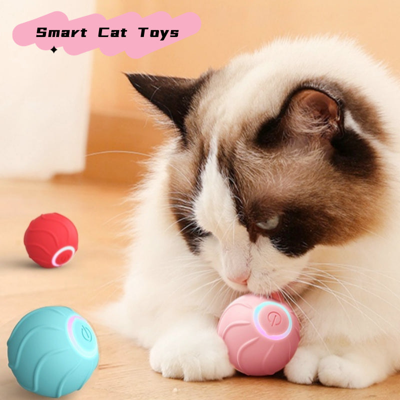PurrBounce– Smart Cat Ball Toy