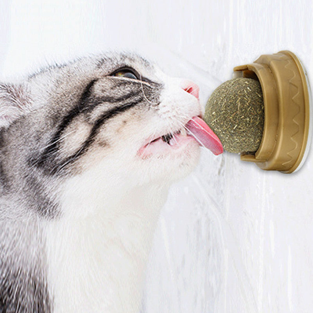 Catnip Dental Treat Balls