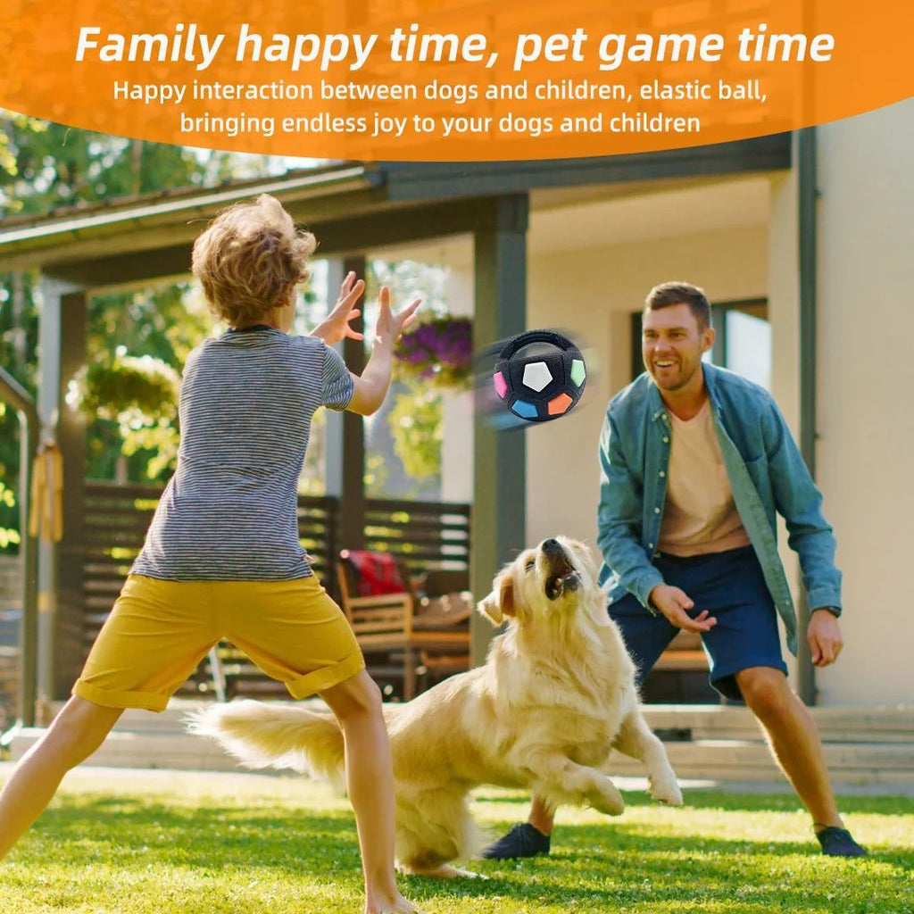 Football Tennis Ball Dog Toy