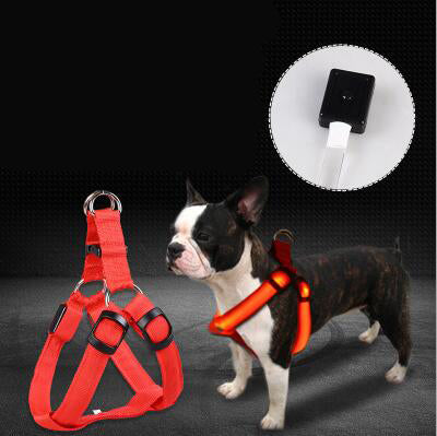 LED Dog Harness & Leash