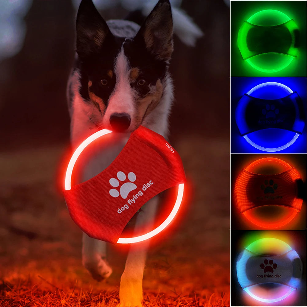 Glowing LED Dog Disc for Play & Training