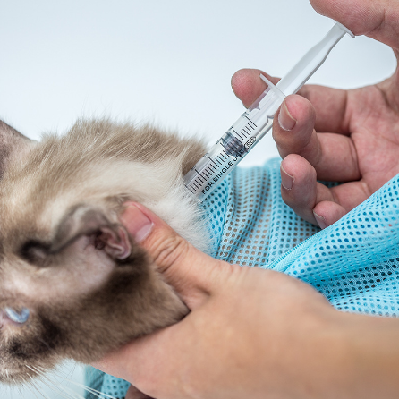 Cat Grooming Bag