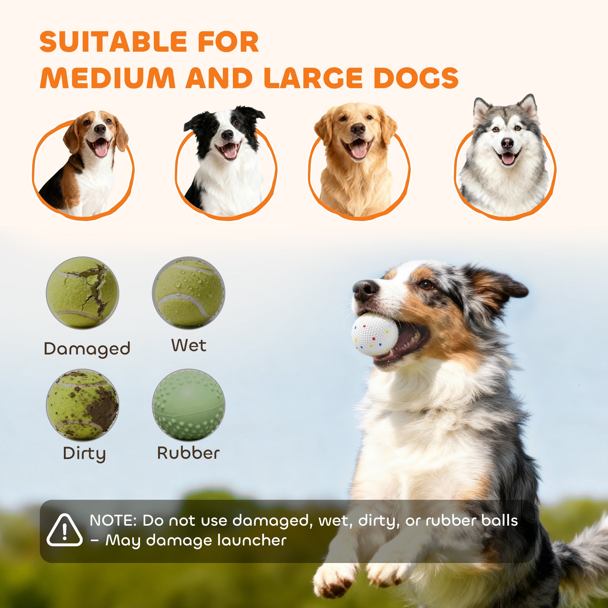 Automatic Dog Ball Launcher