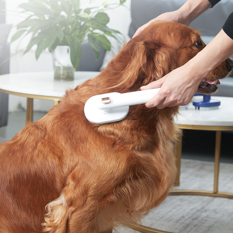 Self-Cleaning Pet Hair Brush