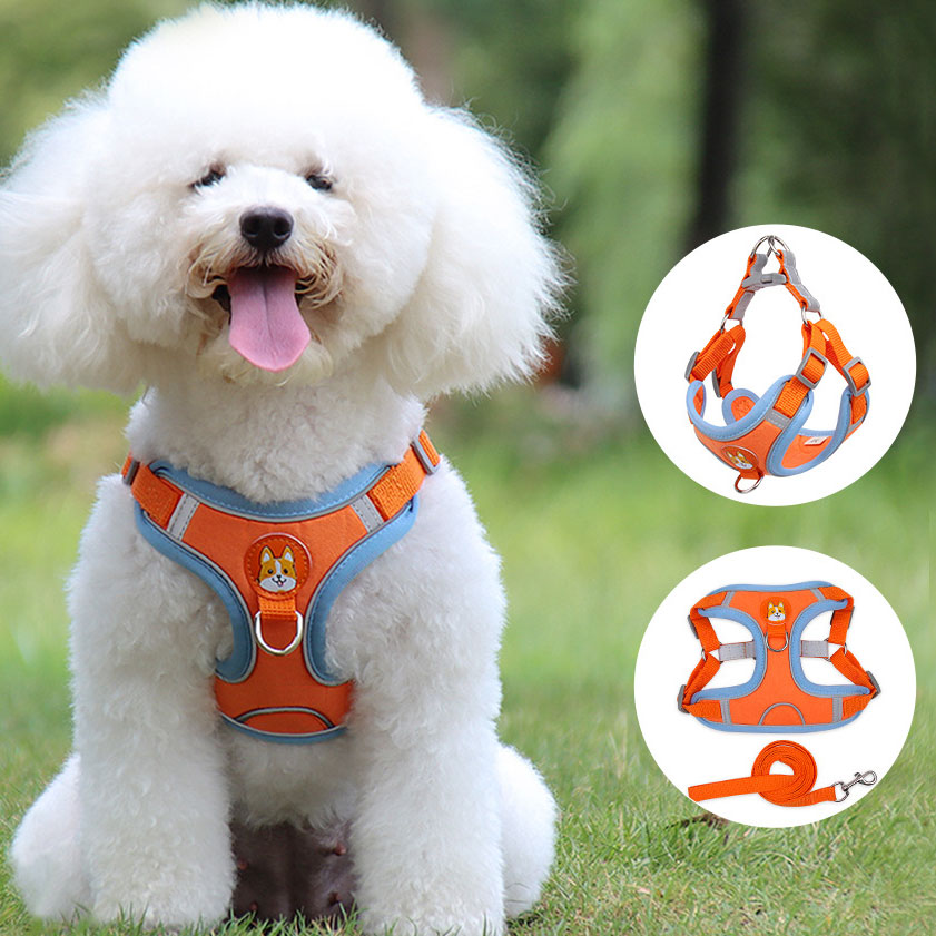 Reflective Pet Harness & Leash
