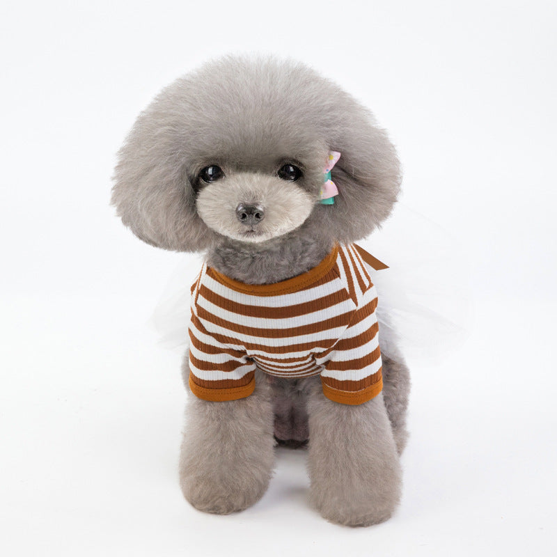 Teddy Bear Dog Clothes