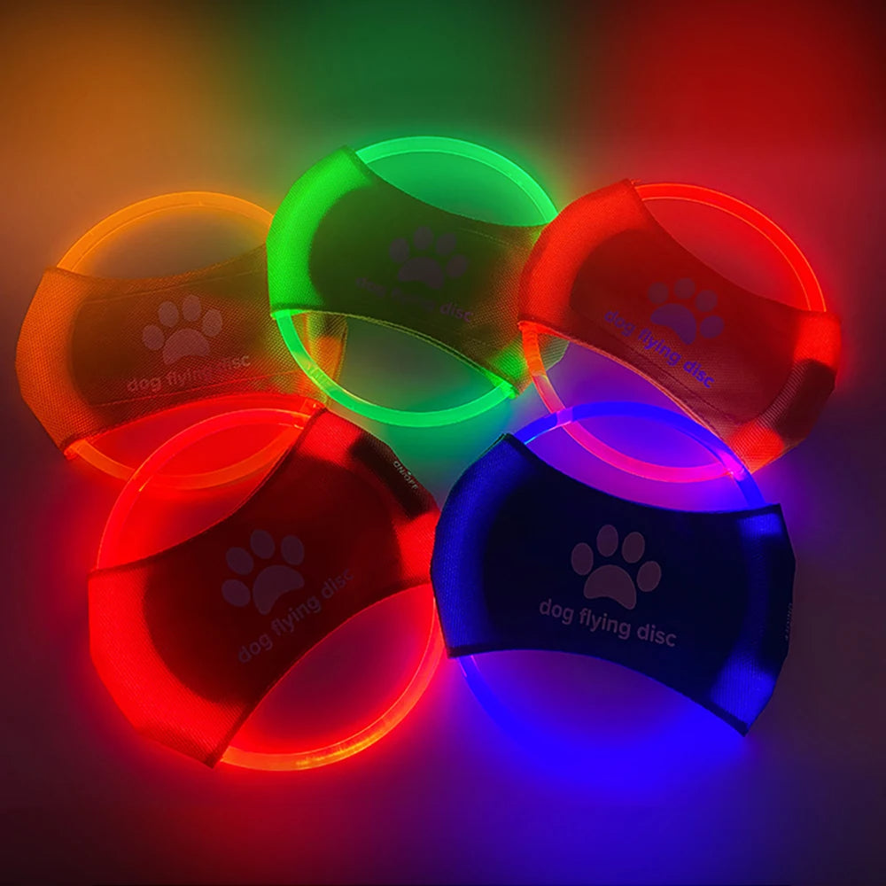 Glowing LED Dog Disc for Play & Training