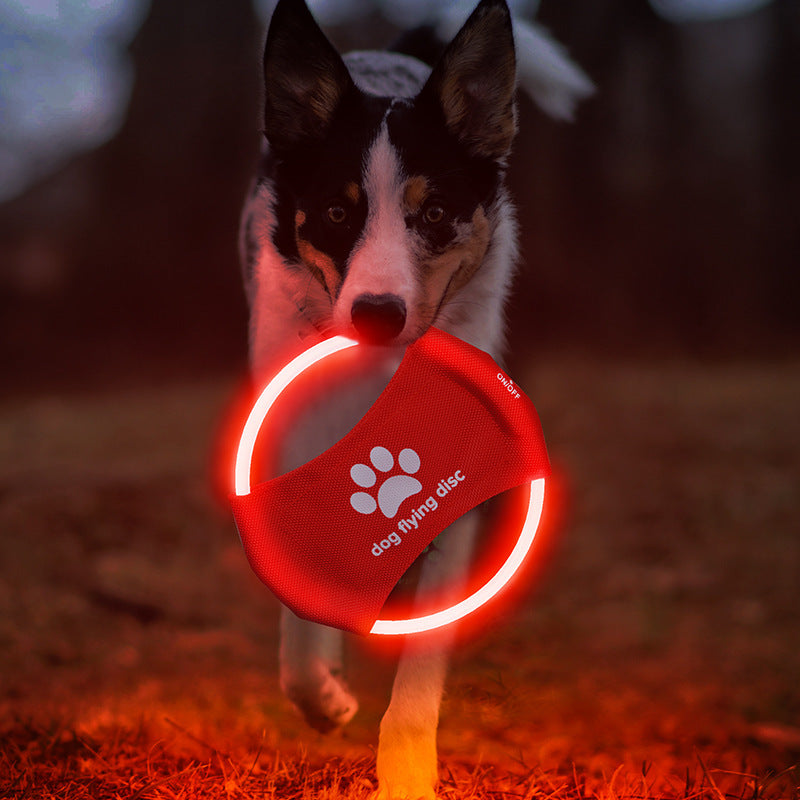 Glowing LED Dog Disc for Play & Training