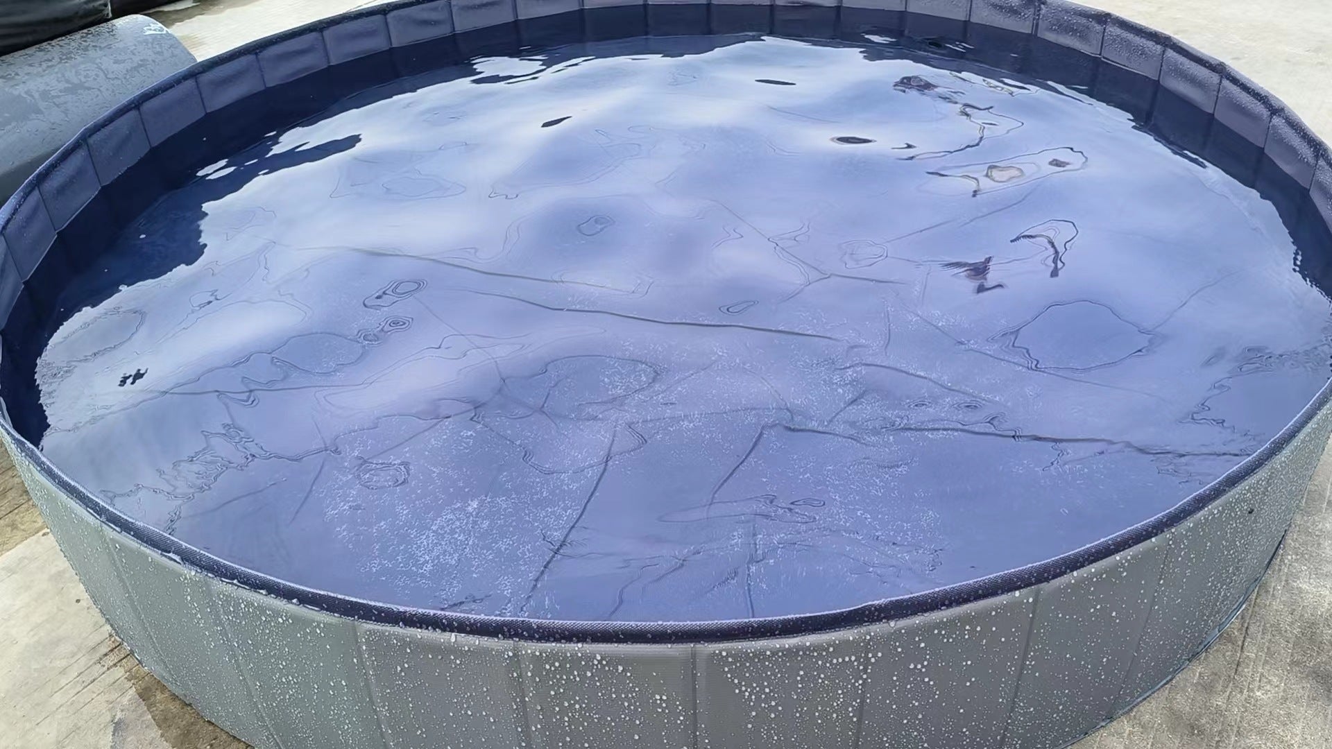 Foldable Dog Pool