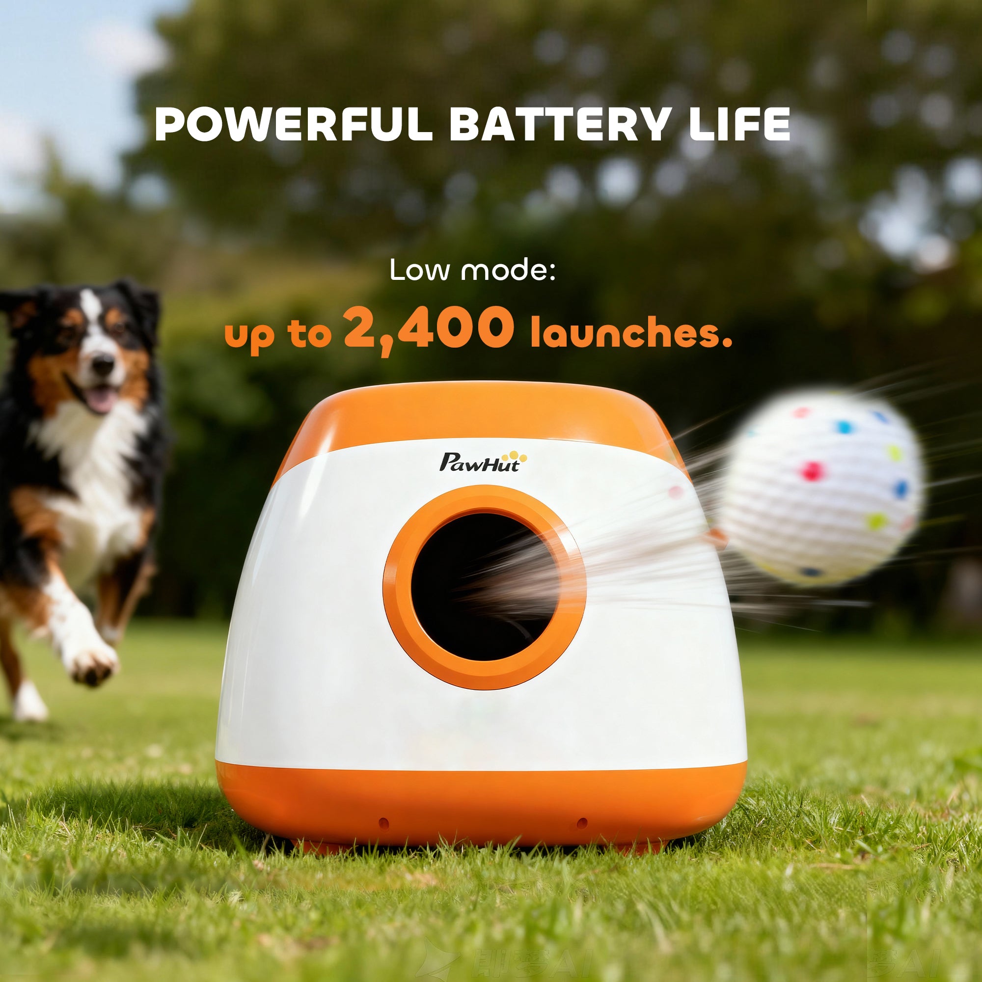 Automatic Dog Ball Launcher